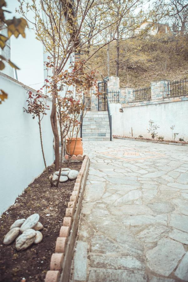 Violetta'S House Παραδοσιακή Βίλα Στην Πορταριά Kültér fotó